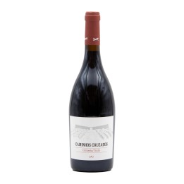 Caminhos Cruzados Tinto 2021