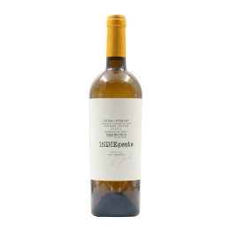 Indiegente White 2023