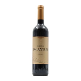 Incantum Red 2024