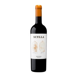 Scylla Amphora Red 2019