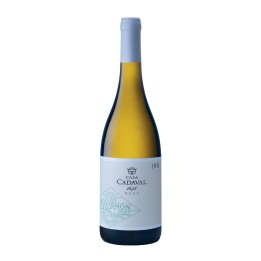 Casa Cadaval Sauvignon Blanc White 2023