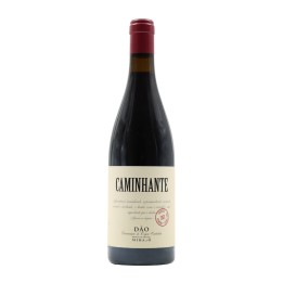 Caminhante Red 2021