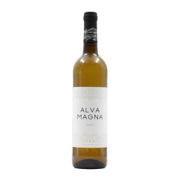 Alva Magna White 2023