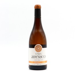 Casa Américo Reserve White 2021