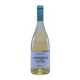Arribas do Côa Rabigato White 2021