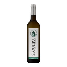 Sequeira Rabigato White 2022