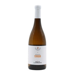 Paulo Laureano Nosso Terroir Weiß 2023