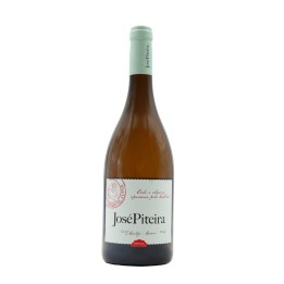 José Piteira White 2024