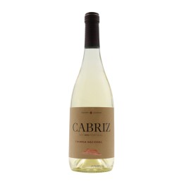 Quinta de Cabriz Touriga Nacional Weiß 2023
