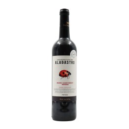 Alabastro Rosso 2023