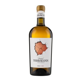 Terracota White 2022