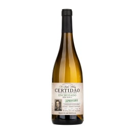 Certidão Encruzado White 2024