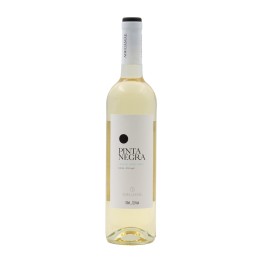 Pinta Negra White 2024