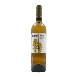 Passadouro White 2022