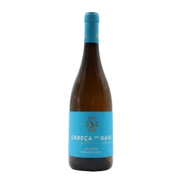 Cabeça de Gaio White 2024