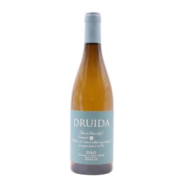 Druida Encruzado Vinha da Pedra Azul White 2024