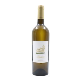 Buçaco Colheita White 2021