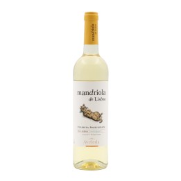 Mandriola de Lisboa Blanco 2025