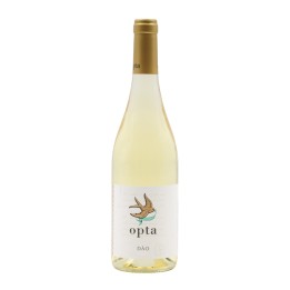 Opta Bianco 2024
