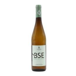 BSE Blanco 2025