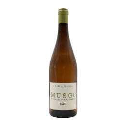 Musgo White 2024