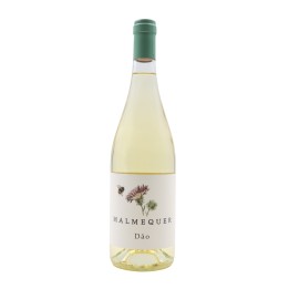 Malmequer White 2024