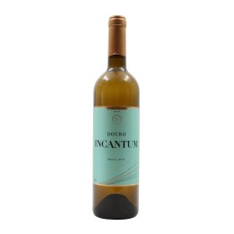 Incantum White 2025