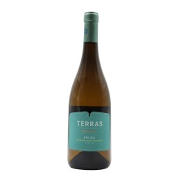 Terras Madre de Água Encruzado White 2025