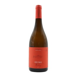 Brejinho da Costa Riesling White 2023