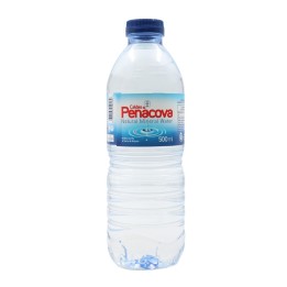 Caldas de Penacova Mineral Water 50cl
