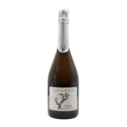 Quinta do Boição Arinto Reserva Bruto Espumoso 2019