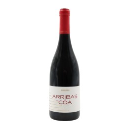 Arribas do Côa Rot 2022