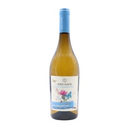 Adega Mãe Organic and Regenerative Blanc 2023