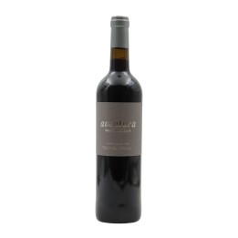 Aventura Red 2024