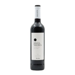 Pinta Negra Rosso 2025