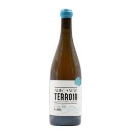 Adega Mãe Terroir White 2017