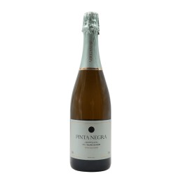 Pinta Negra Blanc de Noirs Brut Pétillant 2024