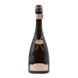 Terras do Demo Brut Rosé Pétillant 2023