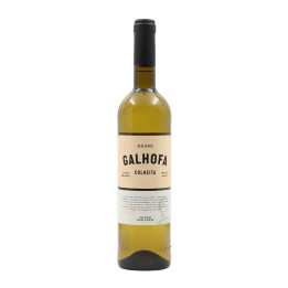 Galhofa Bianco 2025