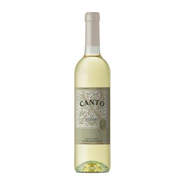 Canto X White 2024