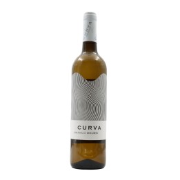 Curva Blanco 2023