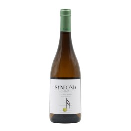 Synfonia Blanco 2024