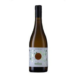 Mainada Arinto Blanco 2023