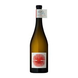 Quinta da Alorna Amphorae White 2023