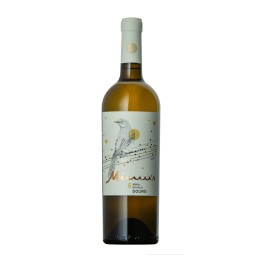 Mimus Síria White 2024