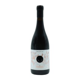 Mainada Baga Rosso 2021