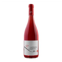 Ladeira da Santa Rosé 2022