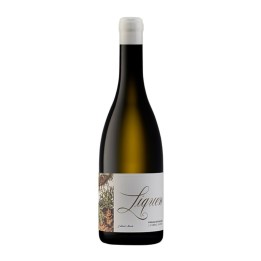 Líquen Old Vines White 2022