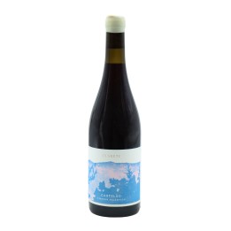 Tojo Clarete Red 2023