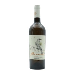 Mimus Curtimenta White 2024